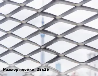 Сетка ЦПВС 25х25